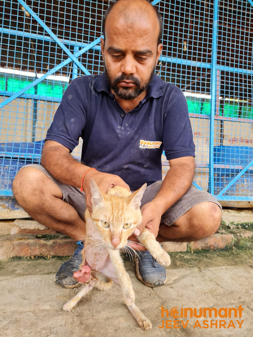 Cat-rescue-in-Unnao